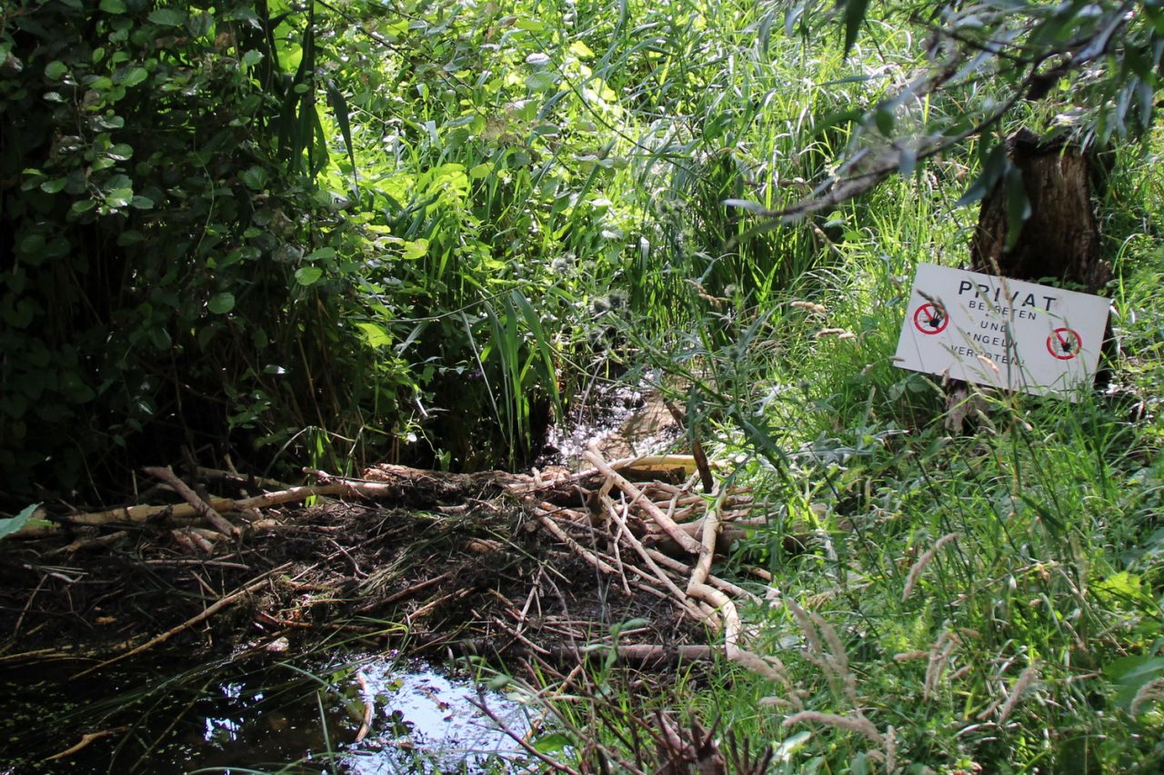 Der NABU Kreisverband Kleve e.V