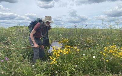 NABU sucht wissenschaftliche Fachkraft