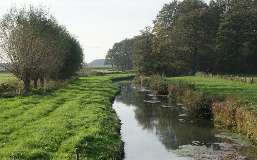 Das Ehrenamt im Naturschutz stärken
