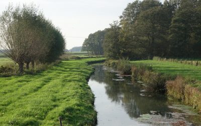 Das Ehrenamt im Naturschutz stärken