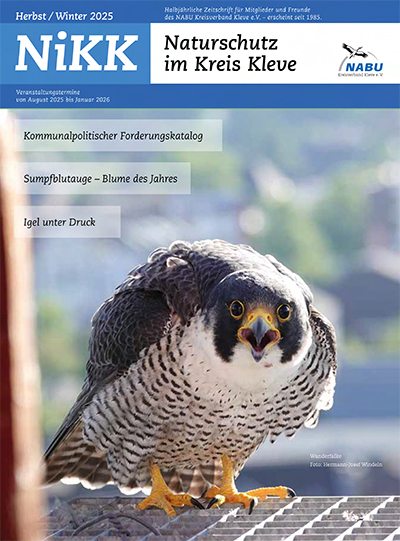 NiKK_cover