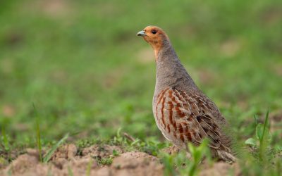 Einladung zur Mitgliederversammlung 2026