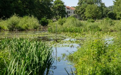 Podcast der NRW-Stiftung erkundet die Fleuthkuhlen
