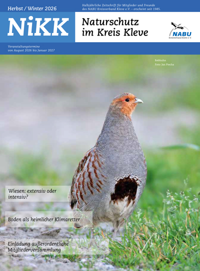 NiKK_cover